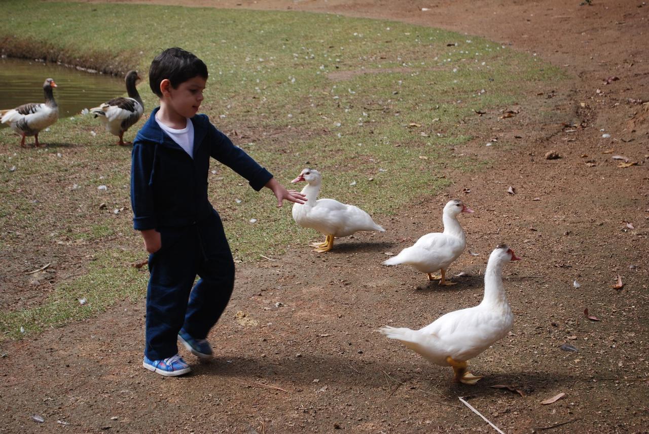 Pousada Quinta Dos Doges วาเลนซา ภายนอก รูปภาพ